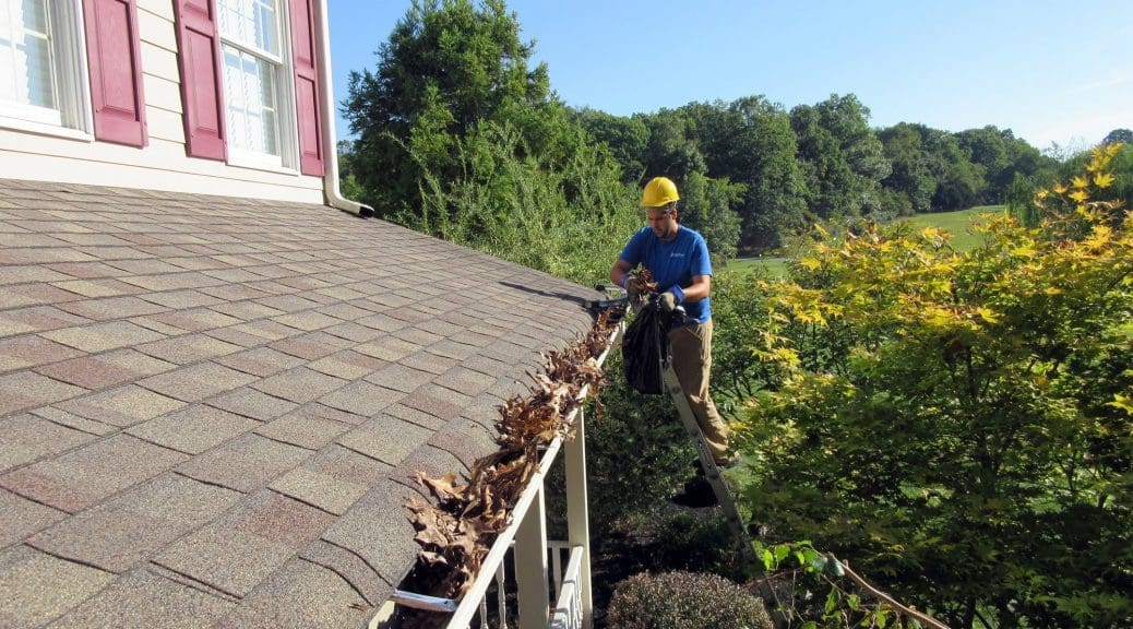 Athlone Gutter Cleaning Near Me